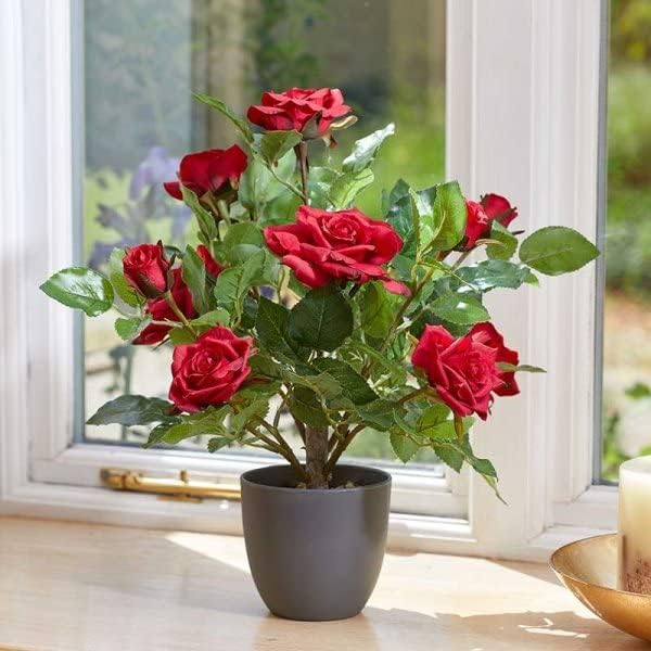 Garden Mile Künstliche Rosenpflanze im Topf, 40 cm, realistische rote Rosen, für den Innenbereich, Zuhause, Büro, Dekoration, Außenbereich, Rosenstrauch im Topf