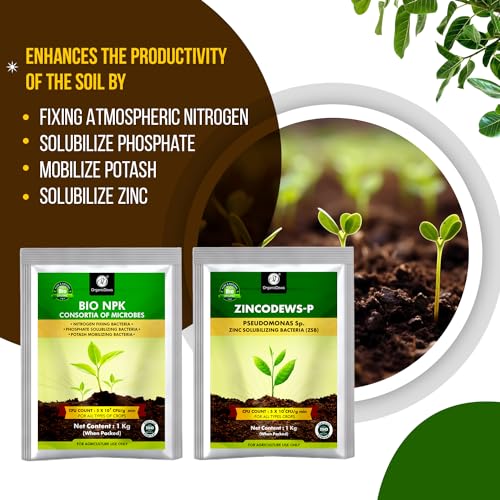 Image of OrganicDews Bio NPK Consortia + Zinc Solublizing Bacteria 1 Kg Combo Inoculum Fertilizer for Plants - Soil Fertility, Faster Plant Growth and Increases the Yield