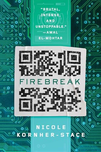 Firebreak view 2