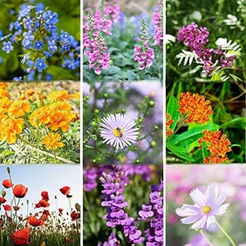 Mountain Valley Pollinator Bulk Mix