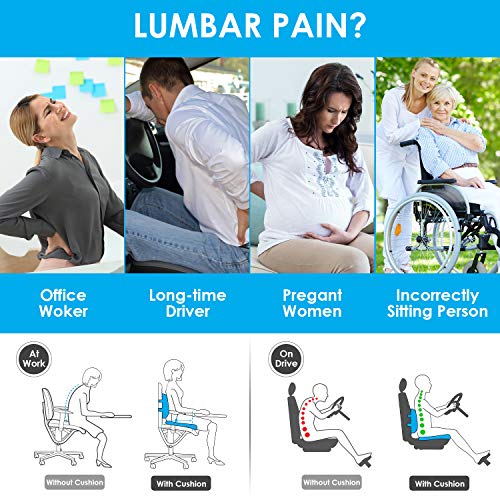 Kmall SEAT CUSHION AND LUMBAR BACK CUSHION Coccyx Seat Cushion And Lumbar Support Pillow thumb #1