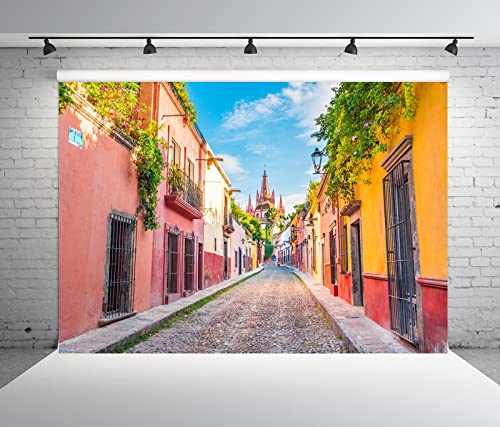 Telón de fondo de Tela BELECO 7x5ft México