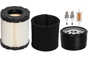 798897 794935 Air Filter with 492932 Oil Filter Engine John Deere