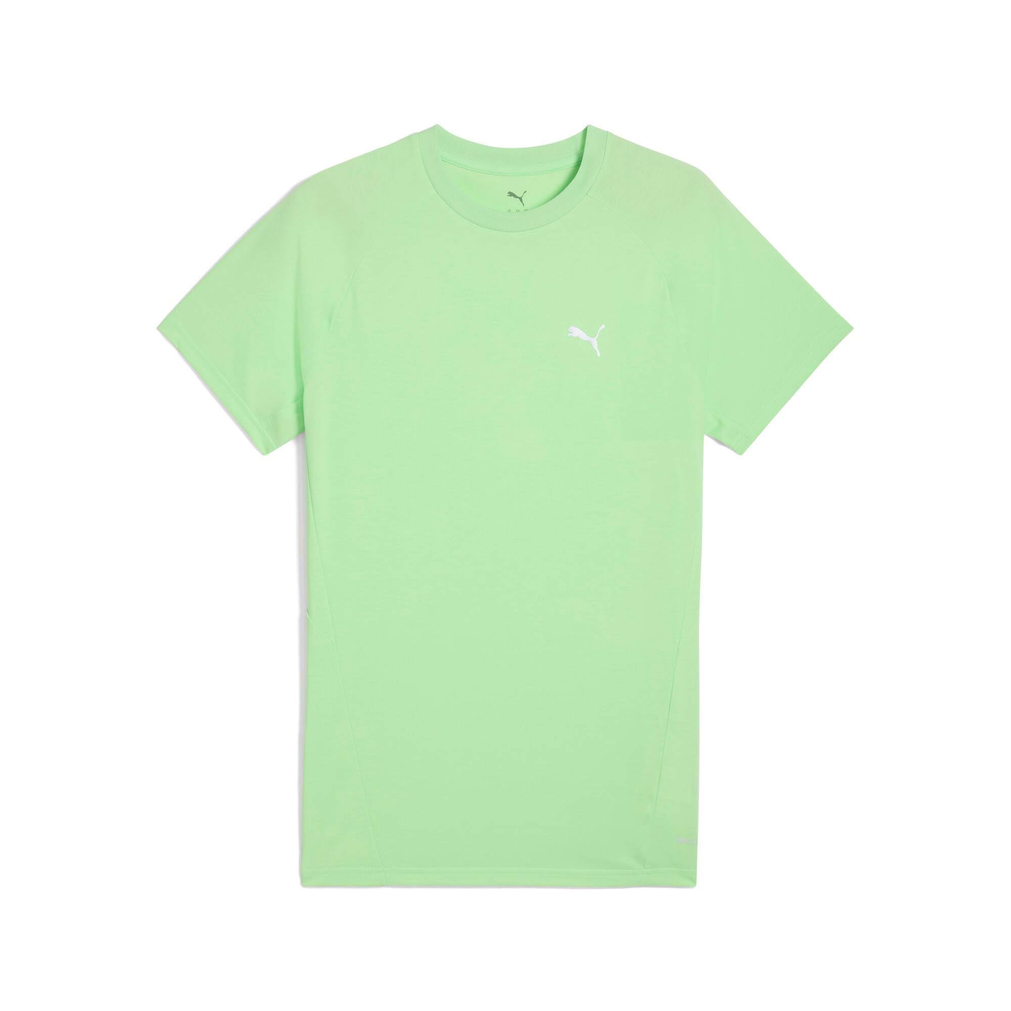 Puma Men's Evostripe Tee, Spring Fern, Size L, Men