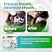 Dog Teeth Cleaning Powder with Probiotics, Dog Dental Powder for Teeth Cleaning and Dog Breath Fresh, Bad Breath Fresher, Tartar Remover, Gut & Oral Health, Plaque Off Pet Teeth Cleaning, 60 Servings