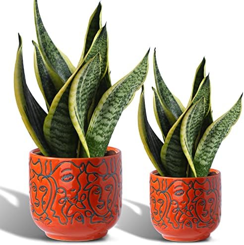 Gohearin Ceramic Indoor Planters with Drainage Hole - 6.6 Inch and 5.4 Inch Plant Pots 2 Set Medium Cylinder Flower Pot with Modern Design for Cactus Succulent Garden Decoration Gift (Red)