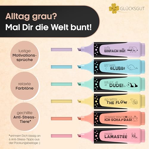 GLÜCKSGUT® 500x Lustige Haftnotizen + 6x Textmarker Pastell | Scherz-Medikament | Anti Stress | Büro Schule Studium Uni | Abschiedsgeschenk für Kollegen Chef Lehrer | Post it