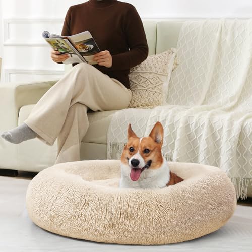 Image of JOLLYVOGUE Dog Bed, Calming Anti-Anxiety Large Dog Bed, Fluffy Donut Cushion for Medium and Large Pets (27 inch /30 inch /36 inch)