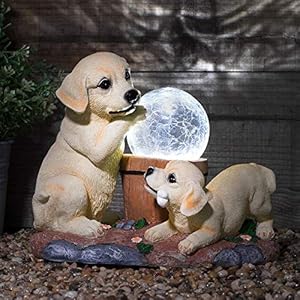 GloBrite Solar Labrador Dogs Garden Ornaments | Solar Ornaments | Solar Powered Crackle Ball Light | Garden Decorations…