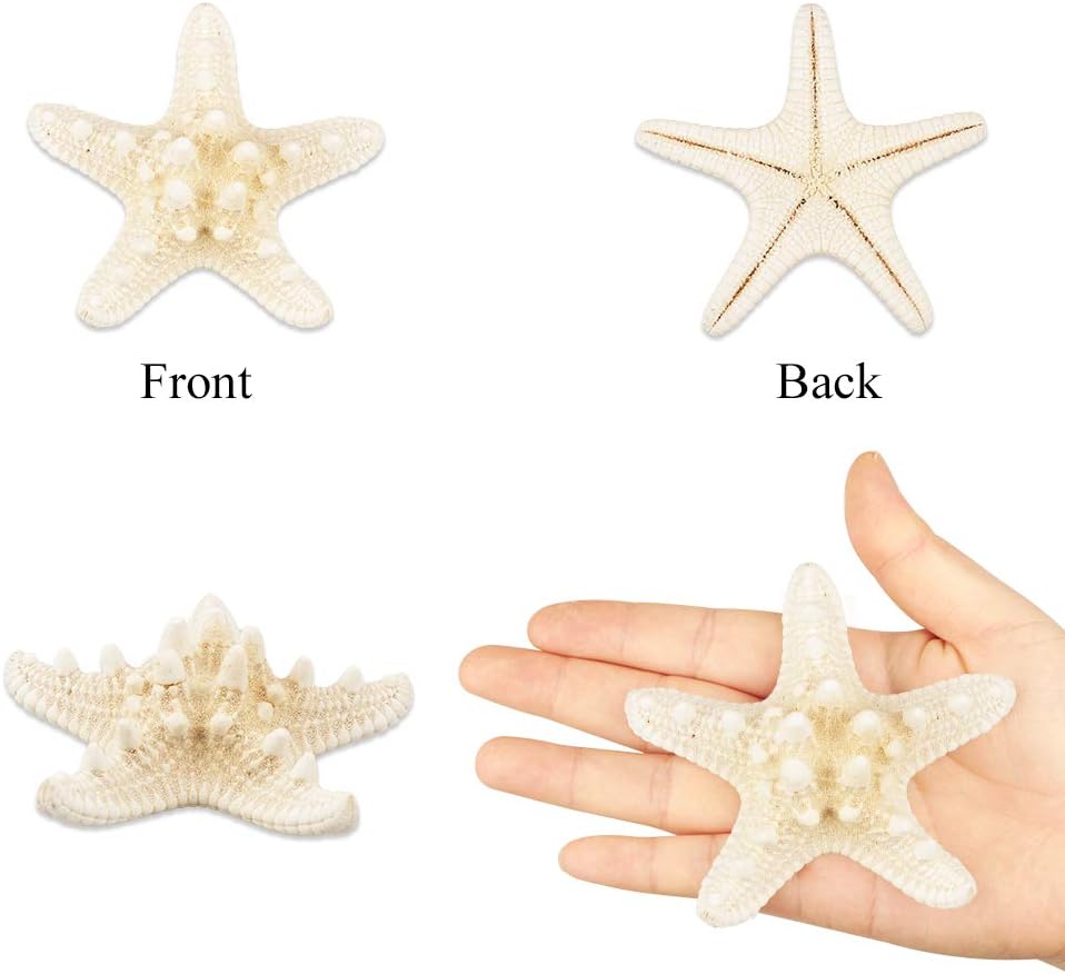 Jangostor 10 PCS Large Knobby Starfish 3-4.3 Inch Ocean Beach Natural Starfish Perfect for Beach Theme Party, Wedding Decor, Home Decorations, DIY Crafts, Christmas Decor