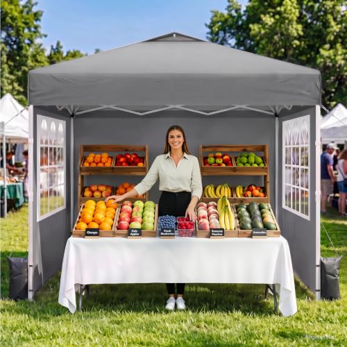 10x10 Pop Up Canopy Tent with Dual Vented Roof, One Push Setup, Gray