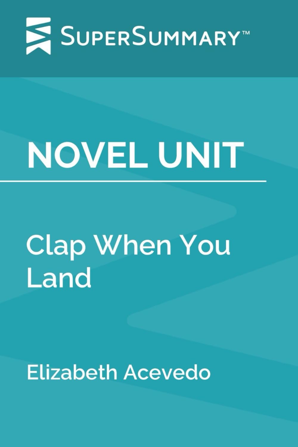 Novel Unit: Clap When You Land by Elizabeth Acevedo (SuperSummary)