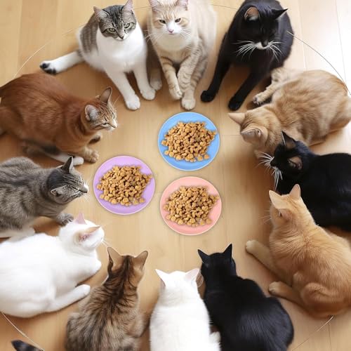 10 Stück Katzennapf,Katzenschüssel,Katzennapf Flach,Fressnapf Katze Futternapf,Runden Katzenteller,Fressnapf Katze,Bunt Katzenfutter Napfset,Cat Plate für Kätzchen und kurzbeinige Katzen