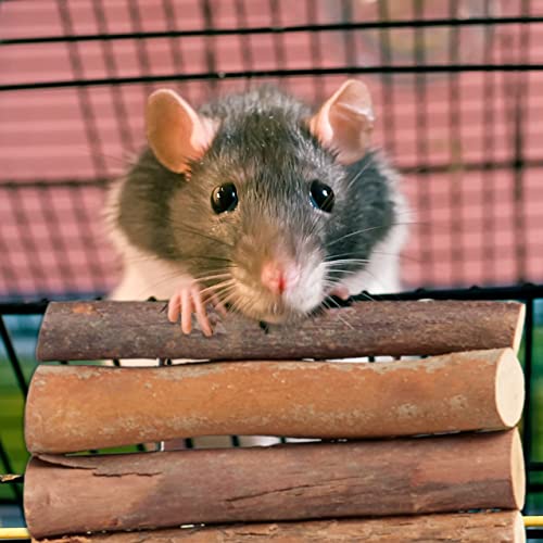 Relaxdays Rodent Bridge Tunnel, Set of 3, 10 x 22 cm, Flexible, Cage Accessory Hamster &, Mice, Natural Wood - Image 3