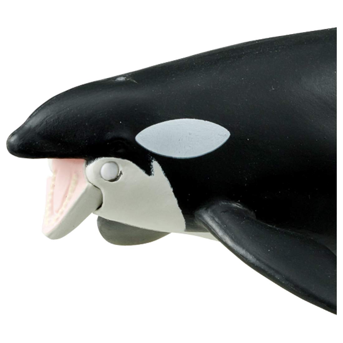 Amazon.co.jp: タカラトミー(TAKARA TOMY) アニア AL-08 シャチ親子