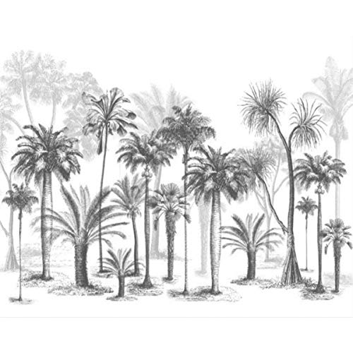 Benutzerdefinierte Tapete Wandbild Schwarz-Weiß-Skizze Tropischer Regenwald Kokosnussbaum Nordic Tv Sofa Hintergrund 3D Wallpaper