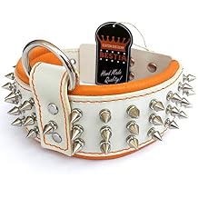 Bestia Silver Giant Genuine Leather Dog Collar