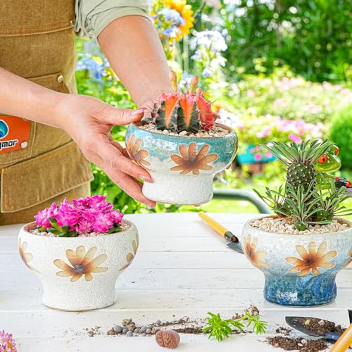 Sungmor Small Succulent Planters Set of 3, Beautiful Hand Crafted