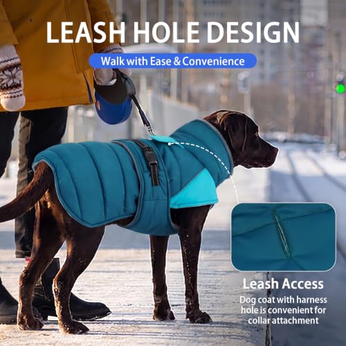 Image of MIGOHI Warm Dog Jacket, Waterproof Dog Winter Coat, Teal,L