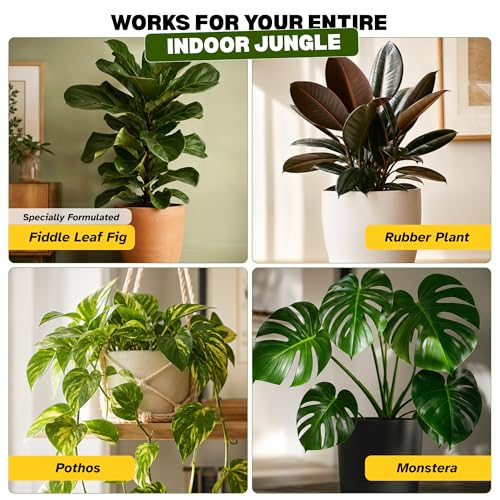 Fertilizante líquido 3-1-2 para Fiddle Leaf Fig 8 oz miniatura 7