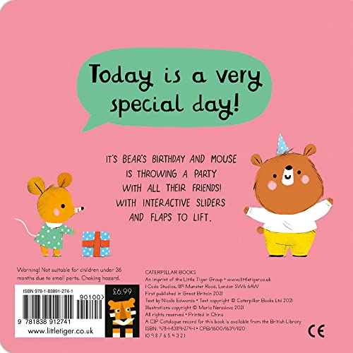 Bear and Mouse Birthday Party