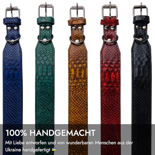 FAVPET Luxus Echtleder Halsband Hund Breit mit QR Code Anhänger, Gepolstertes Hundehalsband Leder Breit, Breites Lederhalsband Hund, Breite Hunde Halsbänder, Welpenhalsbänder Leder (Schwarz, M)