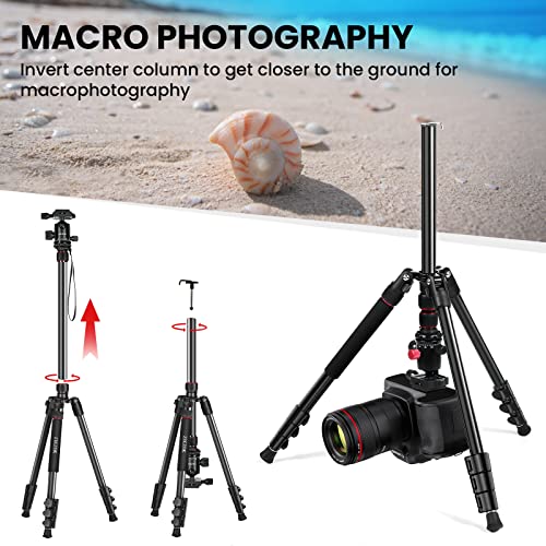 Zikzok 80" Camera Tripod,Travel Lightweight Heavy Duty Tripods & Monopods With 360°Ball Head,Phone Holder,33Lb Load,Compatible With Dslr Cameras,Smart Phone,Projector,Webcam,Spotting Scopes #TOP5