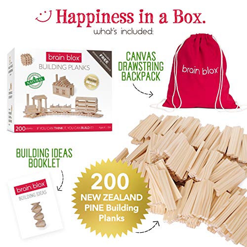 brain blox building planks