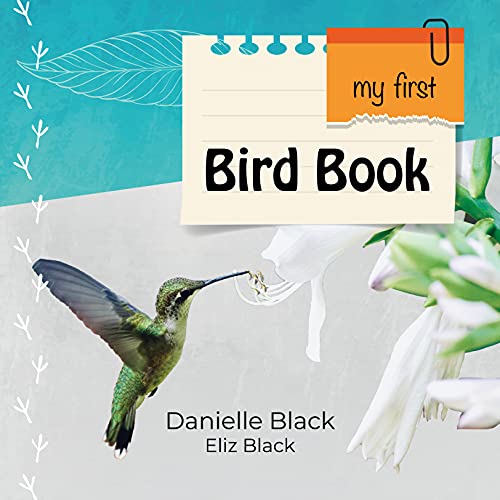 My First Bird Book My First Bird Book