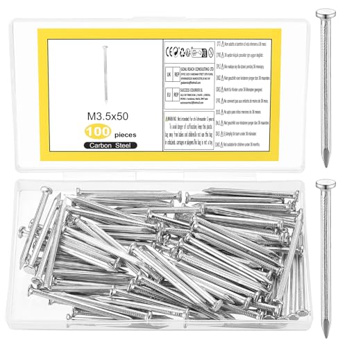 100 Pcs Clavos de Acero para Cuadros, Clavos para Madera, Clavos de Pared, Clavos de Hormigón, Clavos para Colgar Imágenes Marcos de Fotos Espejo Cemento Manualidades(50 mm, Plateado)