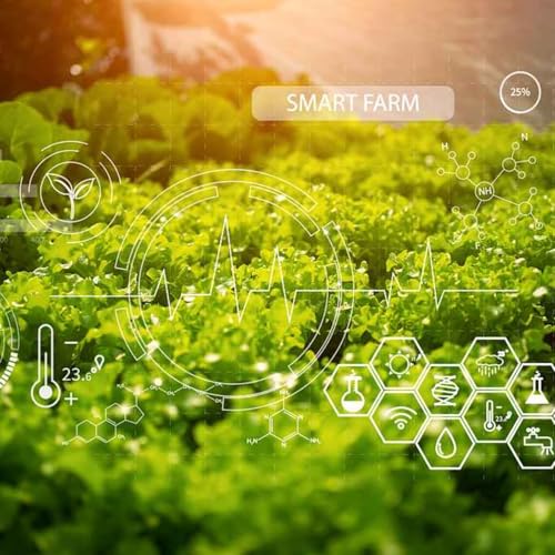 China has left the US behind in science