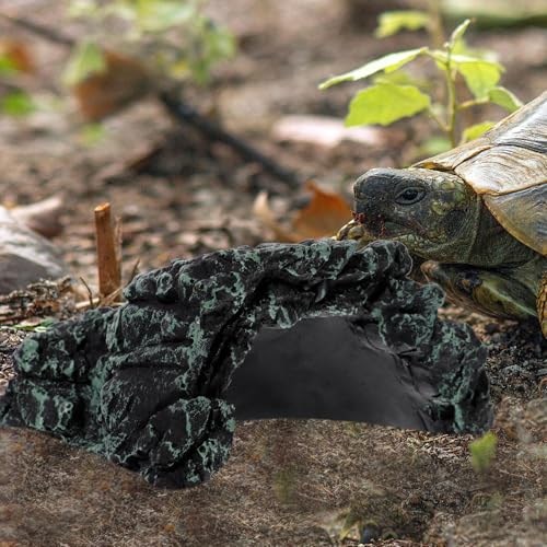 HOMOBABE ঒ރVF^[ TpB T xe vȃoXLOvbgtH[ ^gJQ JG wrΉ