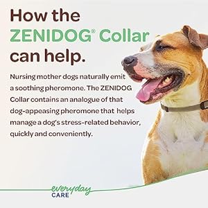   Dog-Calming-Collar-with-Pheromones-Zenidog-Long-Acting-Collar-Dog-Calming-Pheromone-Collar-Long-Acting-Pheromones-for-Dogs-Calming-Collar-Dog-Calming-Calming-Collar-for-Dogs-Small-Dogs