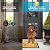 XRDZYXGS Smart Automatic Pet Door | Radar, Timer & Light Sensor Modes | Durable Aluminum, Weatherproof, Solar & USB Rechargeable | 24/7 Operation for Dogs & Cats (Black)