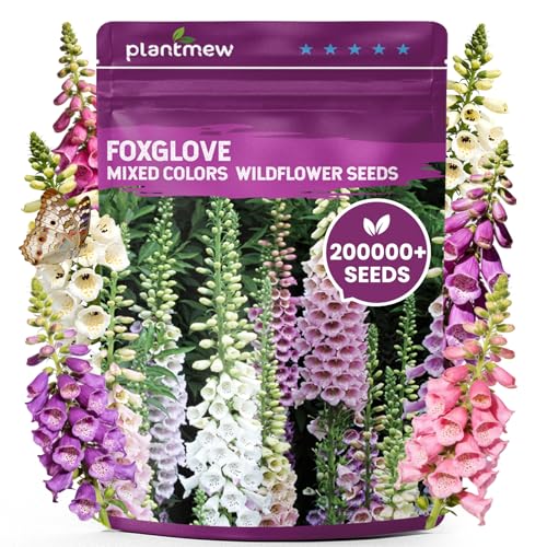Foxglove Seeds Perennial Mixed Colors 200 000+ Seeds Bulk Pack for Easy-to-Grow Home Gardening Tall Spire Blooms for Garden Borders Attract Hummingbirds & Bees