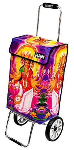 James® Einkaufstrolley modern Design Botticelli, Einkaufswagen bunt, Hackenporsche, Shopping-Lifestyle, Planenmaterial, bis 50kg Tragkraft, Grosse Räder, Made in Vienna – Bild 3