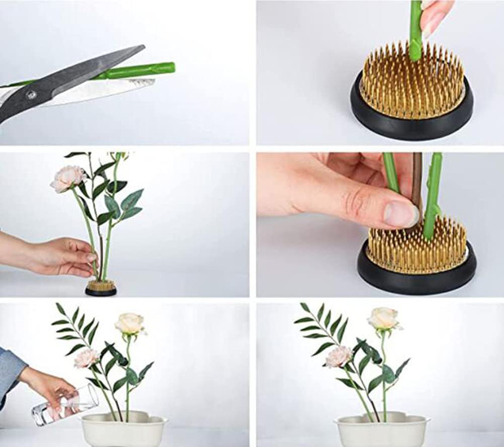 Amazon | STK 剣山 生け花 丸剣山 固定 生け花用 滑り止め 華道 お花