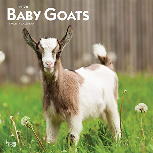 Télécharger Baby Goats 2020 Calendar Francais PDF