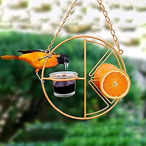 FULCLOUD Metal Hanging Oriole Bird Feeder with Fruit Holder, Removable Drink Glass Drinking Grape Jelly Container Hummingbird Feeder for Outdoor Garden Patio Trunk Outside,Orange Cover
