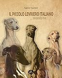 levriero afgano carattere  Il piccolo levriero italiano... secondo me