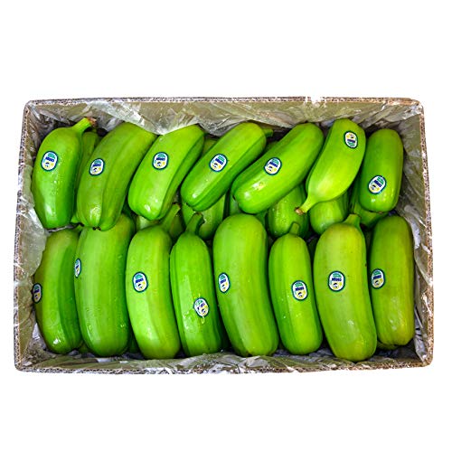 Congo Since 1979 Hawaiian Hopa Plantain (Shipping Included) (9 Lbs) #TOP1