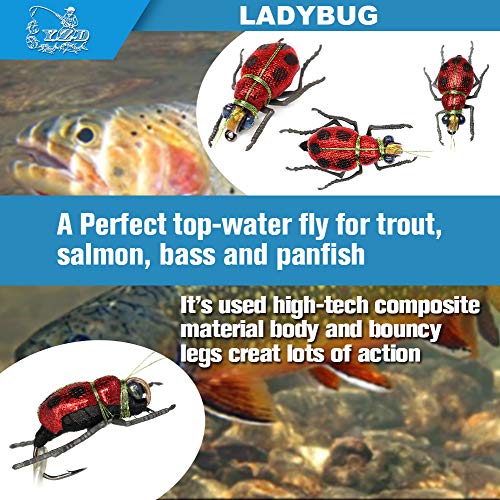 Trout Fly Fishing Flies Collection Dry Wet Nymph Fly Assortment With Fly Box Flyfishing Flys Lures 12/16/18/22/36 Kits (Beetle Kit) #TOP2