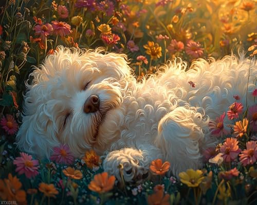 XTXGERL DIY Paint by Number Kits for Adult Beginner, Bichon Frise Dog Rolling in The Grass, Paint by Numbers Kits for Adults, Canvas Painting Gift Kit for Modern Home Wall Decor, 40x50cm