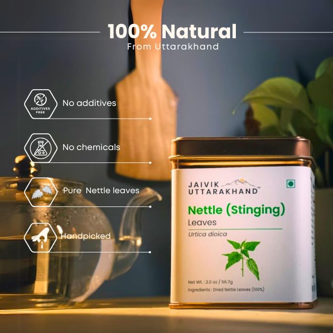 Image of Jaivik Uttarakhand - Nettle Leaf Tea (170.1 g), Dried Stinging Nettle Leaves, Helps Control Blood Sugar, Reduces Inflammation and Body Pain, Pack of 3 Tin Can