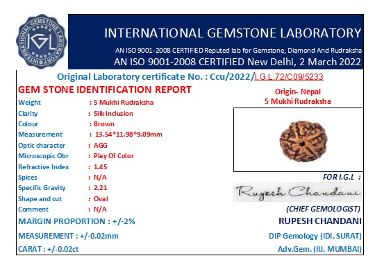 5 Mukhi Rudraksha Original Certified Nepal Bead Five|Panchmukhi Rudraksh 2