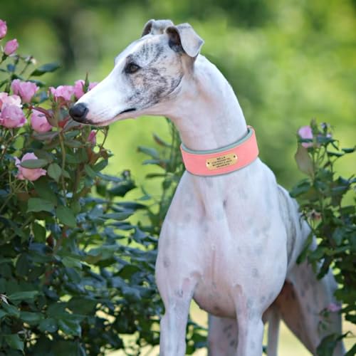 PET ARTIST Personalized PU-Leather Dog Collar for Medium Large Dogs with Soft Padded, Custom Engraved Name Plate, Comfortable Pink Dog Collar for Girl - Thumbnail 2