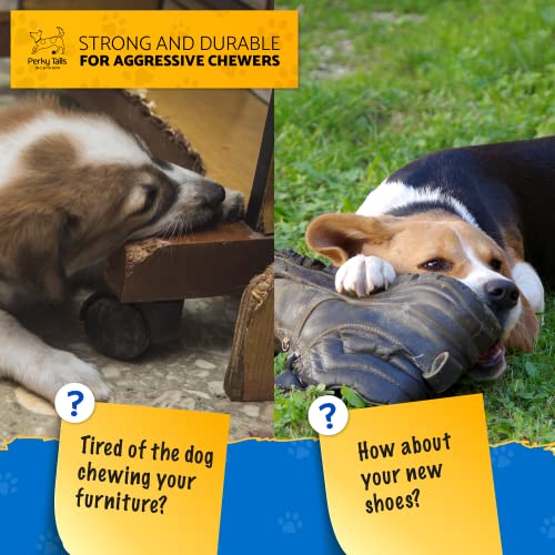 Perky Tails, Almost Indestructible Dog Toys for Small to Medium Dogs - Image 2