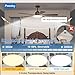 Passky Ceiling Fans with Lights, 52 inch Sleek Ceiling Fan with Light and Remote Control, 3CCT, Dimmable, Reversible, Noiseless, Black Ceiling Fan for Bedroom, Living Room