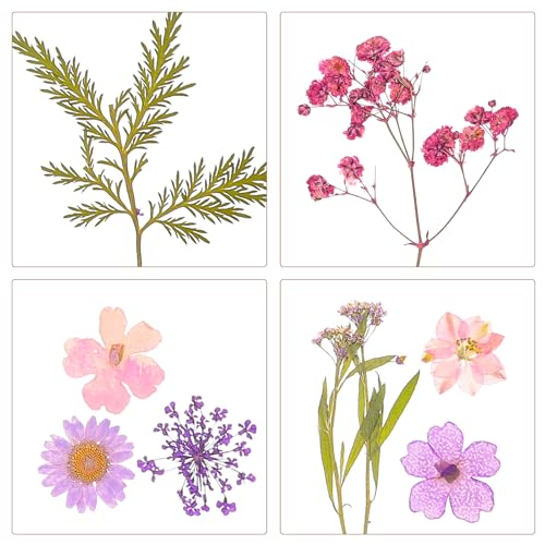 Mezcla de Flores Secas Artesanales 27 Piezas Kit DIY miniatura 3