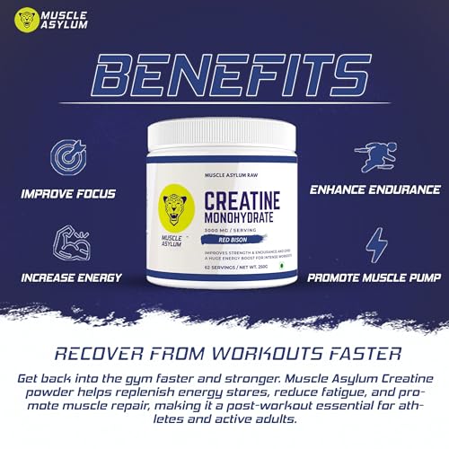 Image of Muscle Asylum Creatine Monohydrate Red Bison Flavour | 3000mg Creatine Per Serving | Pre Workout Supplement for Strength, Energy, Endurance & Muscle Recovery | Micronized Creatine Powder | 62 Servings | 250g